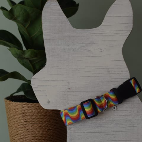 Adjustable Wavy Rainbow Dog Collar