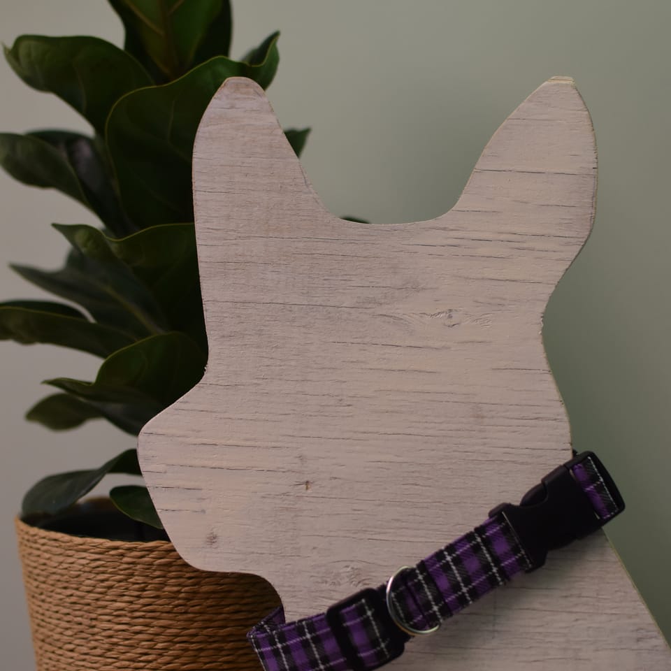 Adjustable Purple Plaid Dog Collar, photo 1 of 2