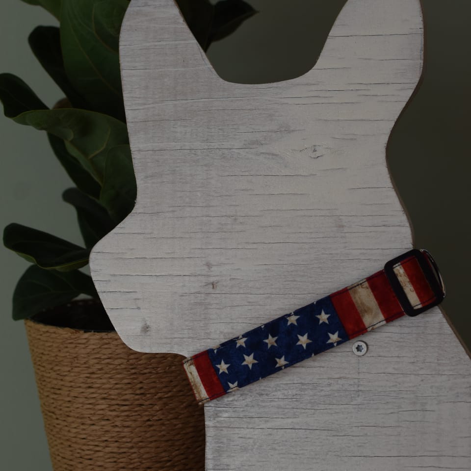 Adjustable Americana Dog Collar, photo 1 of 2